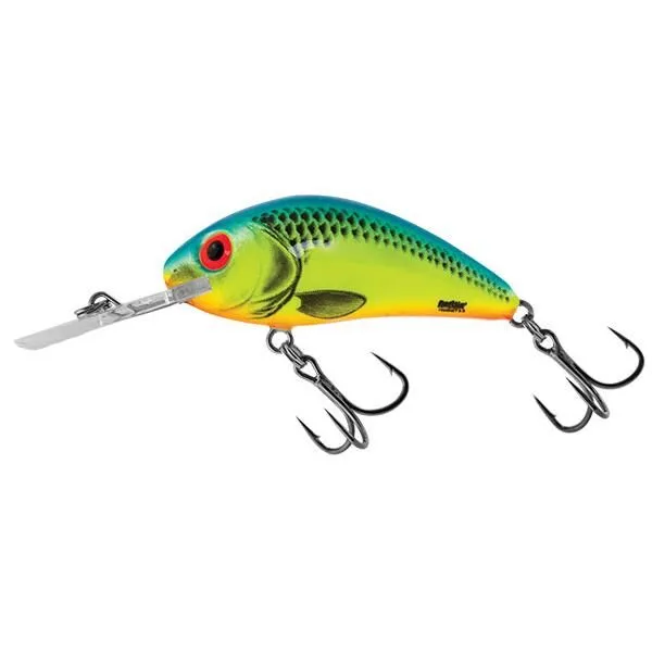 Salmo Rattlin Hornet 6.5cm Floating 6 Salmo Rattlin Hornet 6.5cm Floating - Afbeelding 4