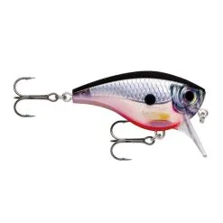 Rapala BX Big Brat 7cm -Endtackle Verkoopwinkel 3590425Rapala BX Big Brat 7cm 4
