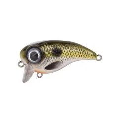 Spro Fat Iris 50 -Endtackle Verkoopwinkel 3925254Spro Fat Iris 50 6