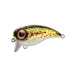Spro Fat Iris 50 -Endtackle Verkoopwinkel 3925258Spro Fat Iris 50 10