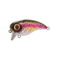 Spro Fat Iris 50 -Endtackle Verkoopwinkel 3925259Spro Fat Iris 50 11