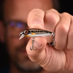 Spro Iris The Kid 4.8cm 6g -Endtackle Verkoopwinkel 4235330Spro Iris The Kid 4 8cm 6g 3